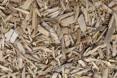 biomass boilers Cobbaton