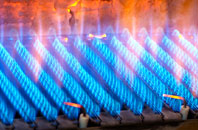 Cobbaton gas fired boilers